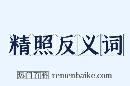 精照反义词是什么意思的图片
